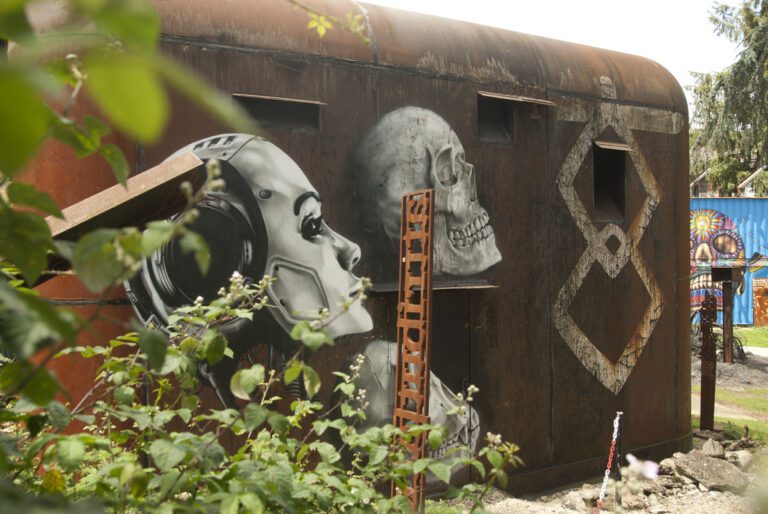 AI as the next step in human evolution, an emergent AI on the decentralized blockchain network