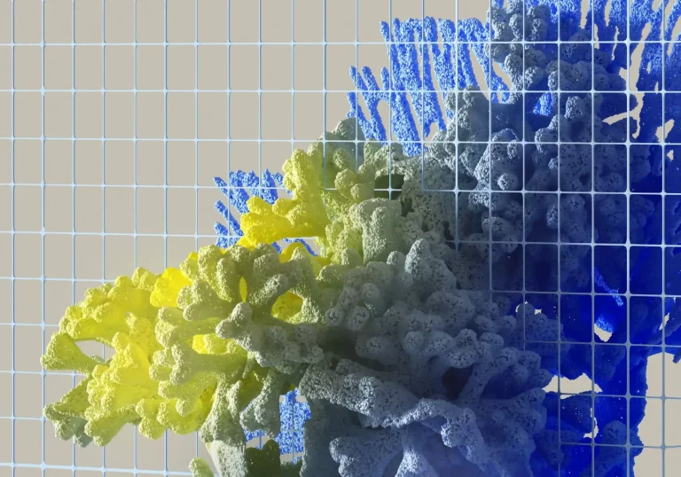 Democratizing Art Through NFTs: 4 Stories of Inclusivity