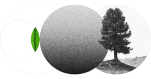 Neutral Secures Funding to Build Market Infrastructure for Environmental Assets