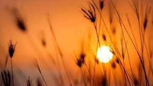 refi-climate-finance