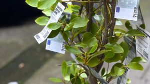 neverless-fintech-app