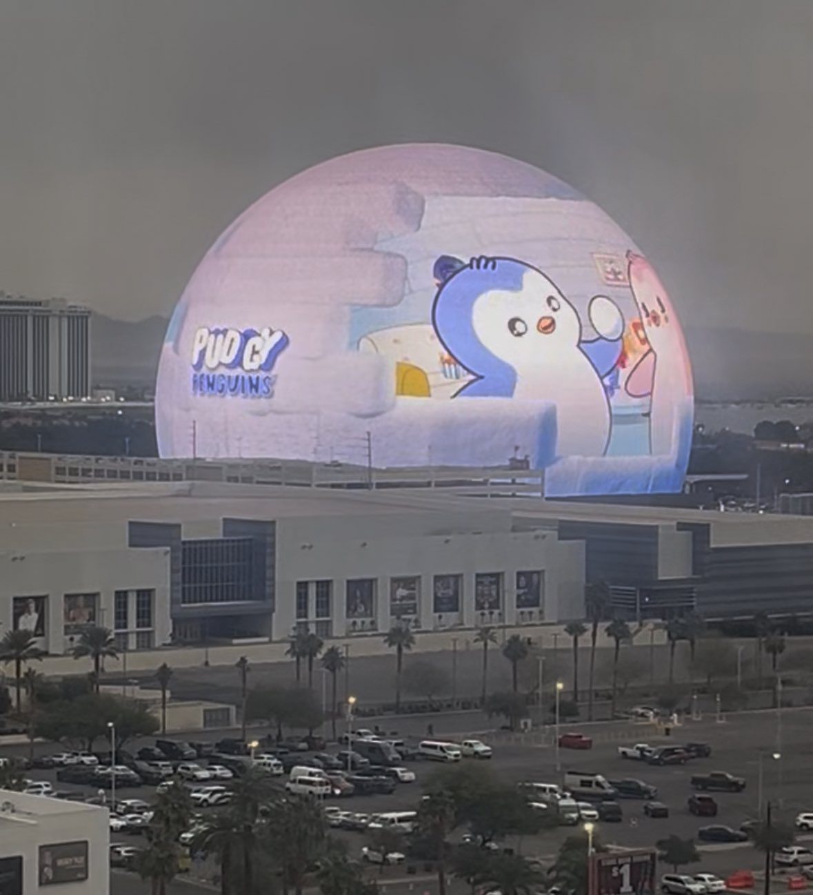 Speculation Builds Around $POLLY as Community Links It to the $PENGU Universe