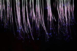 Phase launches AI-agent blockchain with m founder backing