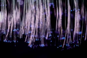 Sui Invests M as DATA Network Plans Blockchain Migration